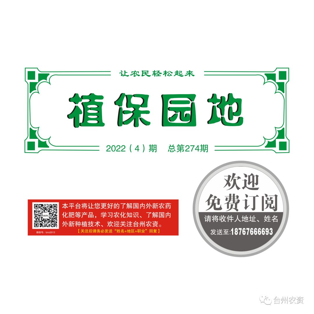 氣溫驟降，大棚西瓜做好以下幾點(diǎn)工作