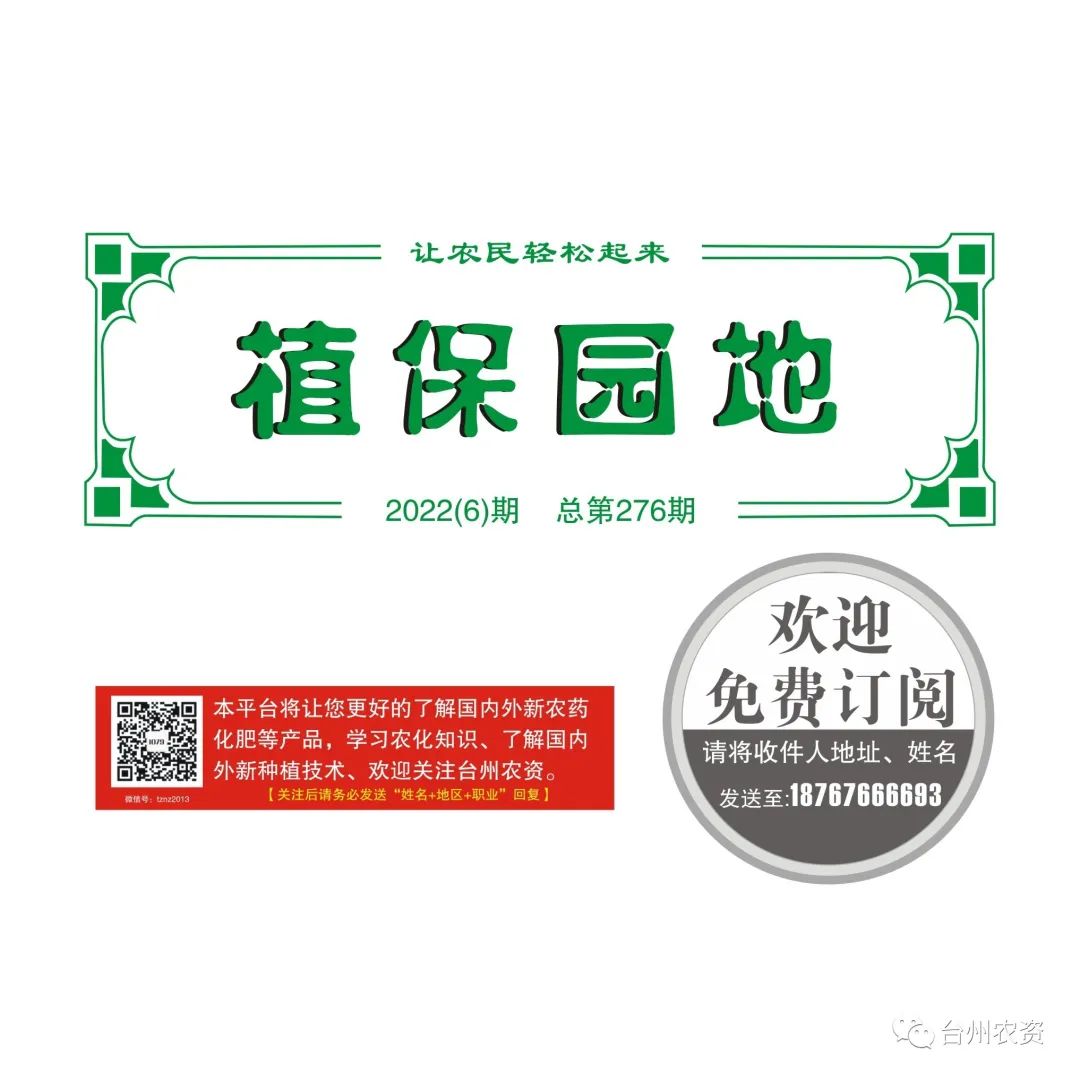 梅雨季節(jié)來臨，柑橘即將穩(wěn)果，注意管理好夏梢，合理施肥打藥